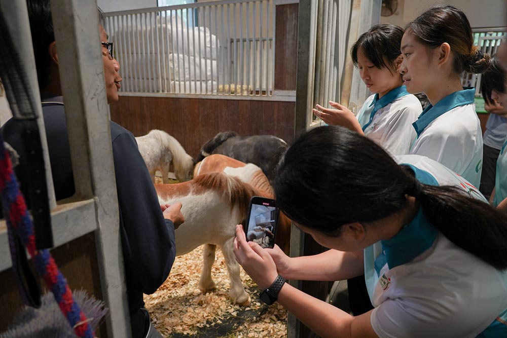 參觀屯門公眾騎術學校-活動花絮7