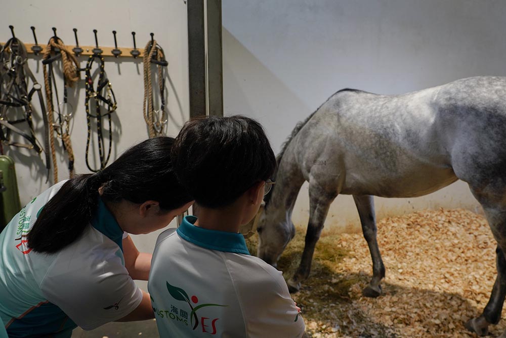 參觀屯門公眾騎術學校-活動花絮8