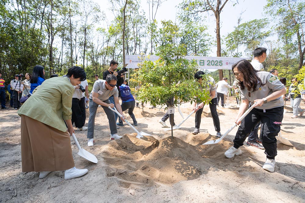 香港植樹日2025-活動花絮6