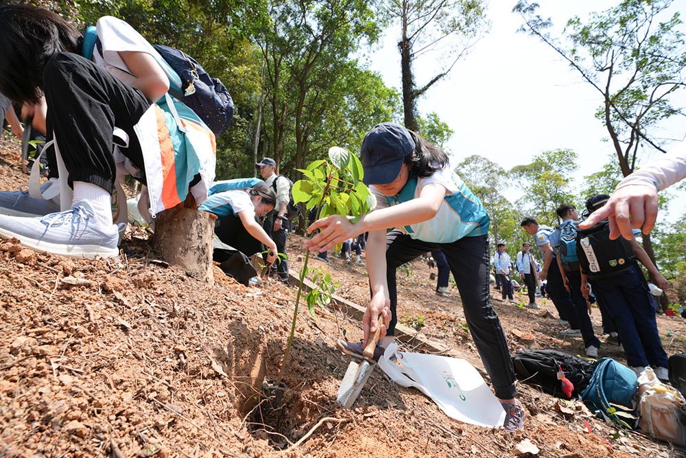 香港植樹日2025-活動花絮7