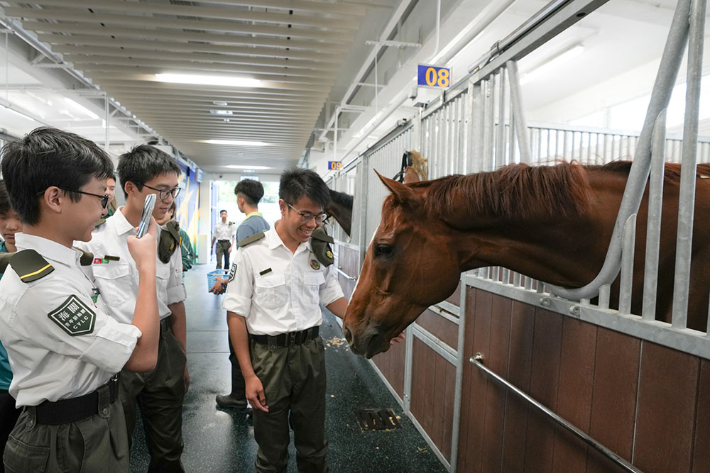 參觀香港賽馬會賽事人才培訓馬房-活動花絮7
