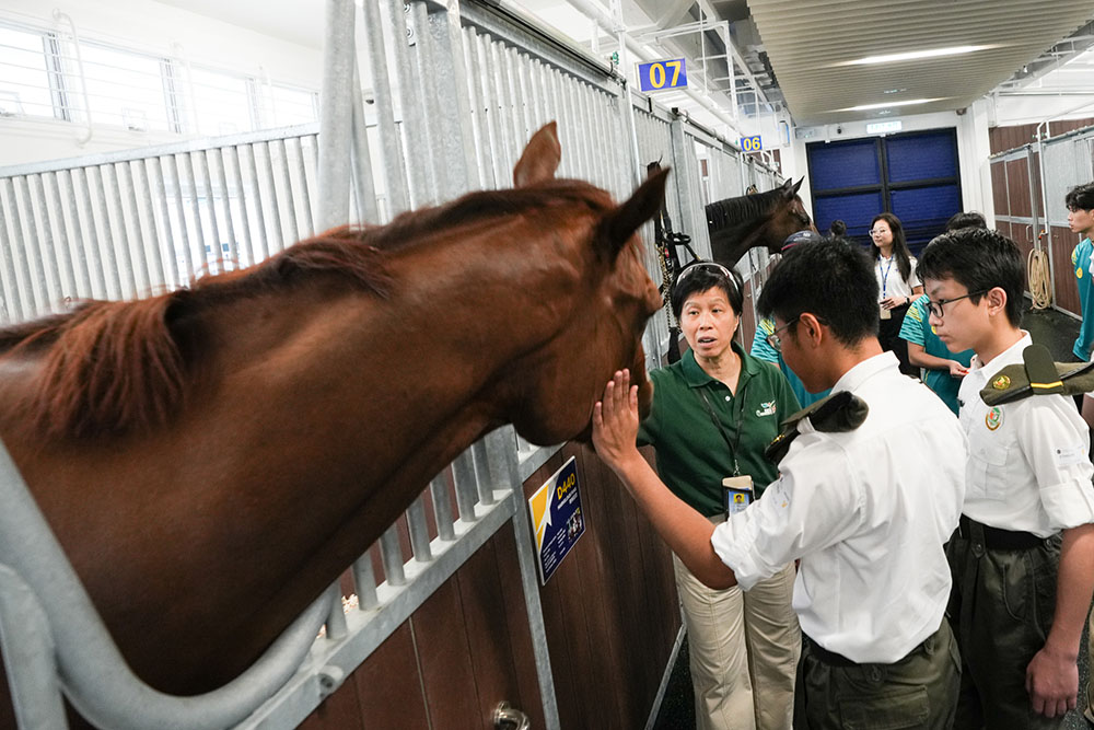 參觀香港賽馬會賽事人才培訓馬房-活動花絮6
